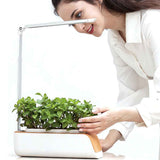 Indoor Herb Garden Smart Digital Hydroponics Growing System At Home
