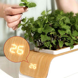 Indoor Herb Garden Smart Digital Hydroponics Growing System At Home