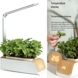 Indoor Herb Garden Smart Digital Hydroponics Growing System At Home
