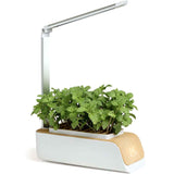 Indoor Herb Garden Smart Digital Hydroponics Growing System At Home