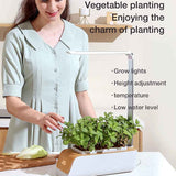Indoor Herb Garden Smart Digital Hydroponics Growing System At Home