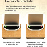 Indoor Herb Garden Smart Digital Hydroponics Growing System At Home