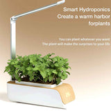 Indoor Herb Garden Smart Digital Hydroponics Growing System At Home