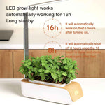 Indoor Herb Garden Smart Digital Hydroponics Growing System At Home