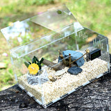 Reptile Tank Snake Breaded Dragon Terrarium With Thermometer
